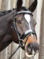 Patent Dressage Bridle